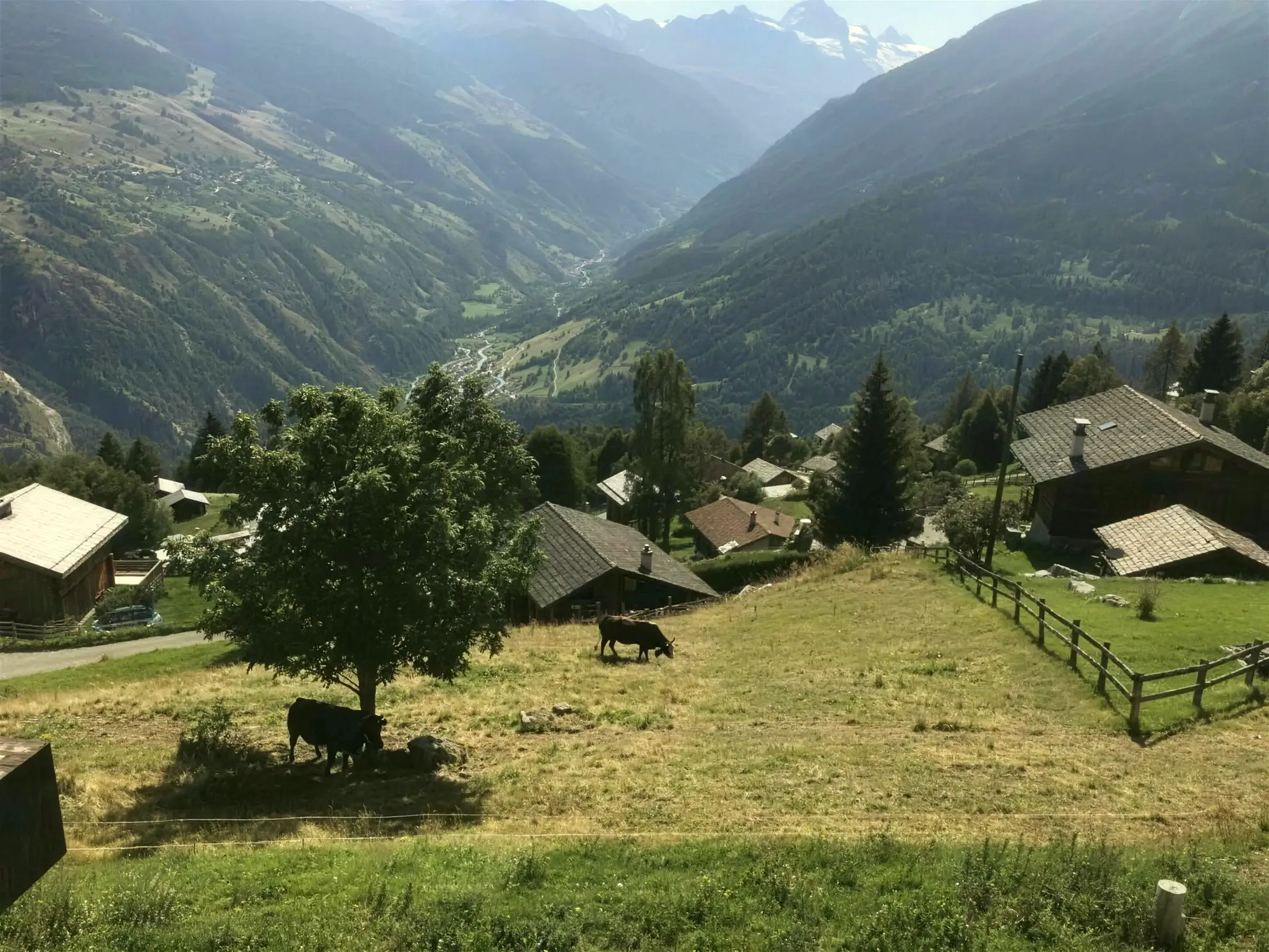 Vallée et chalets près des Collons en été
